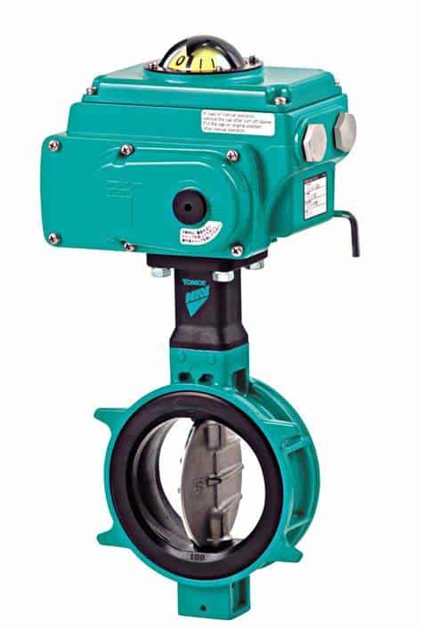 Butterfly Valve